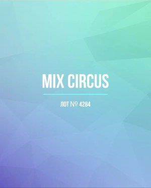 CIRCUS mix - Сток оптом